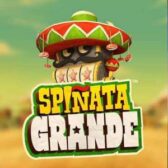 Spinata Grande Logo