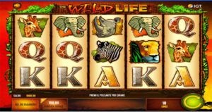 The Wild Life slot